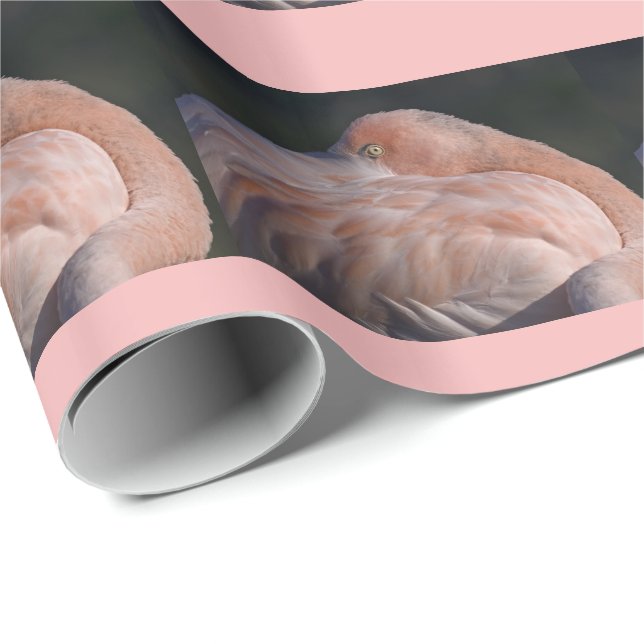 Papel de embrulho de flamingo dormindo (Ponta do rolo)
