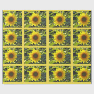 Papel de embrulho de flores suntuosas Sassy Summer