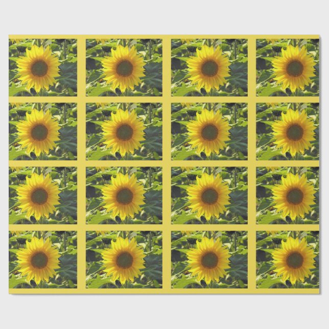 Papel de embrulho de flores suntuosas Sassy Summer (Aberto)