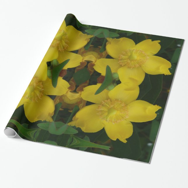 Papel de embrulho de foto de flor amarela (Desenrolado)