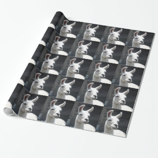 Papel de embrulho de lhama sorridente