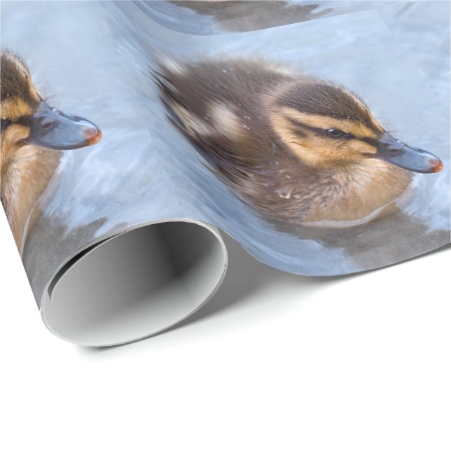 Papel de embrulho de patinho nadando (Ponta do rolo)