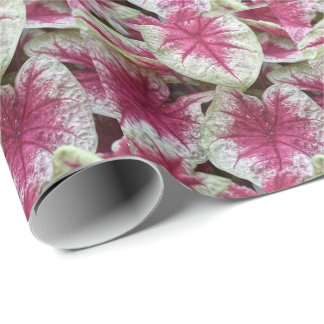 Papel de embrulho de plantas rosa floral