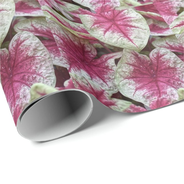 Papel de embrulho de plantas rosa floral (Ponta do rolo)