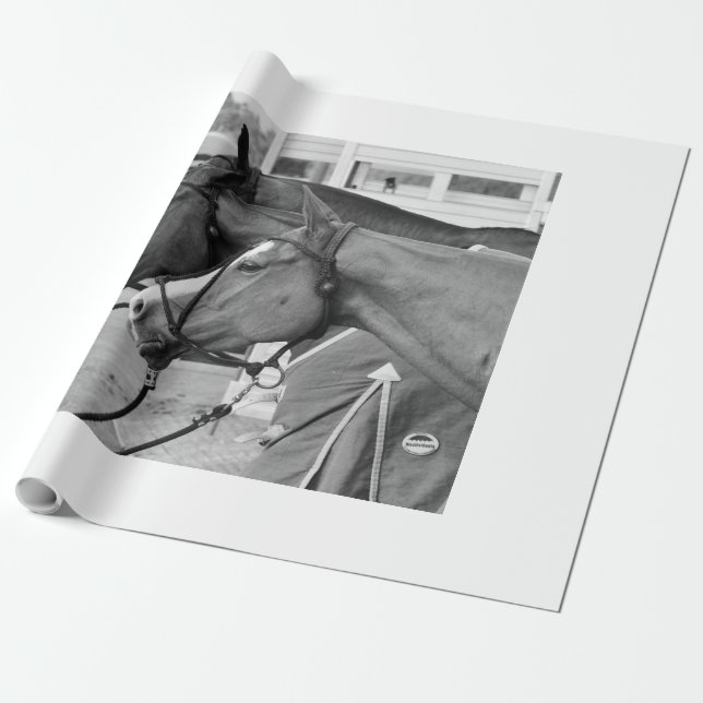 Papel de embrulho de pônei polo (Desenrolado)