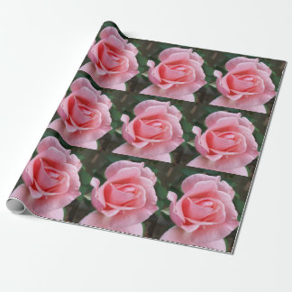 Papel de embrulho de presente rosa rosa rosa rosa