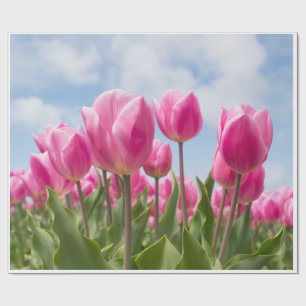 Papel de embrulho de tulipas rosa