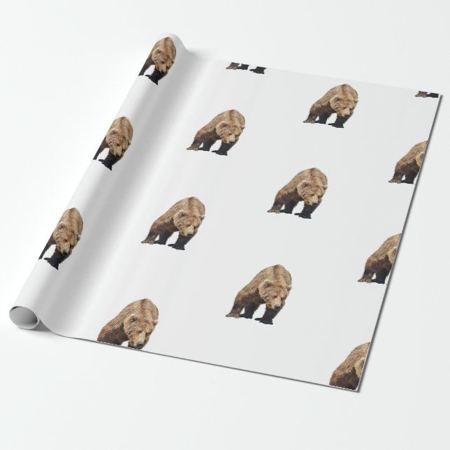 papel de embrulho de urso-pardo (Desenrolado)