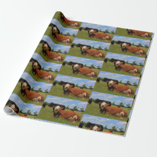Papel de embrulho de vaca Hereford do Kansas