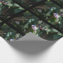 Papel de Embrulho do Chickadee de Capuz Preto