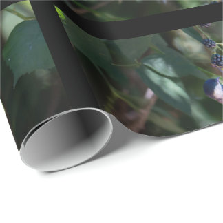 Papel de Embrulho do Chickadee de Capuz Preto
