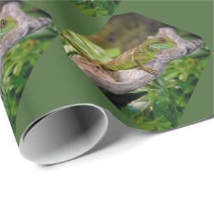 Papel de embrulho do dragão de água chinês