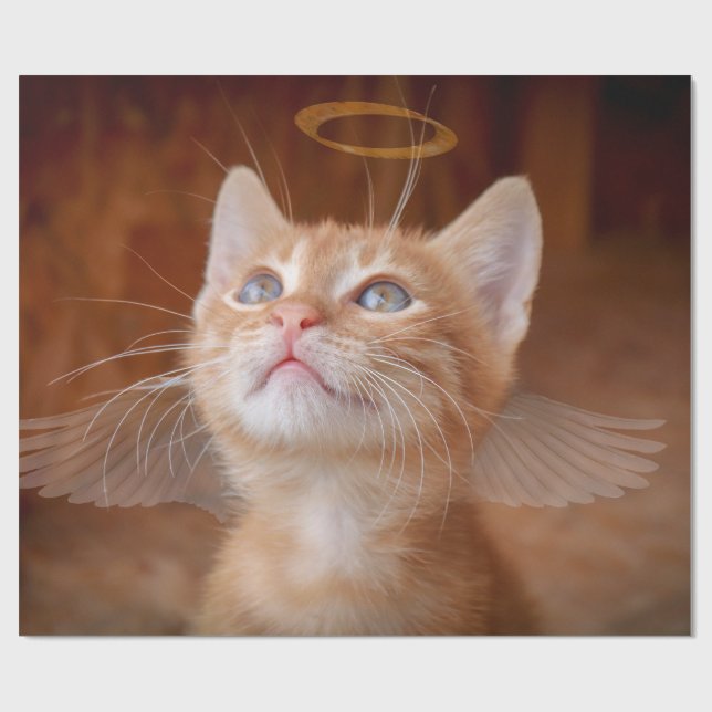 Papel de embrulho do gato anjo (Aberto)