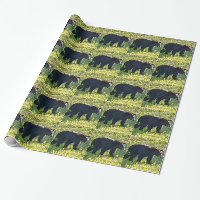 Papel de embrulho do Papai Urso Preto (Desenrolado)