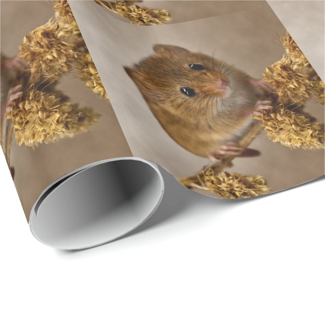 Papel de embrulho do ratinho (Ponta do rolo)