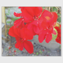 Papel de Embrulho Flor Silvestre