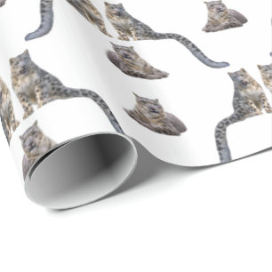Papel de embrulho frenesi do leopardo da neve (esc