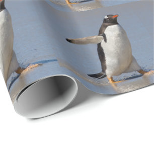 Papel de embrulho Gentoo remando