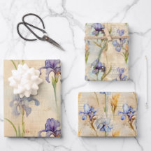 Papel de embrulho Iris