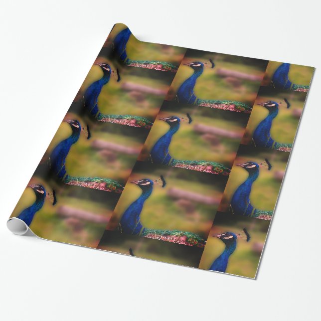 Papel de embrulho mate com foto de pavão (Desenrolado)