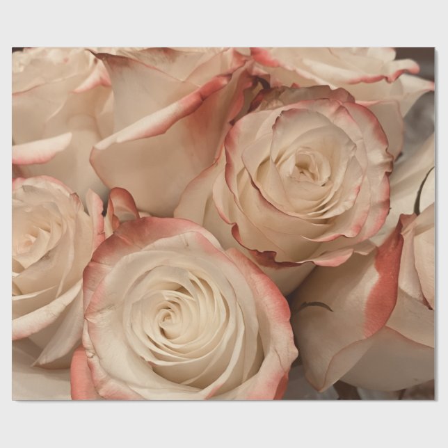Papel de embrulho mate com rosas creme e pontas ve (Aberto)