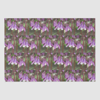 Papel de embrulho para flores de aquiófias púrpura