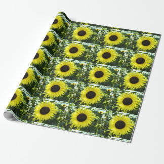 Papel de embrulho para jardins de girassol