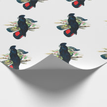 Papel de embrulho preto do Cockatoo