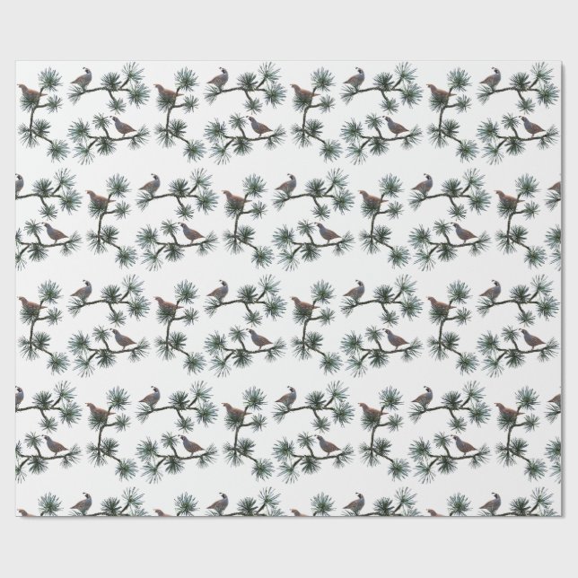 Papel de embrulho Quail Pine (Aberto)