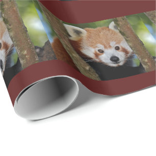 Papel de Embrulho Retrato de Panda