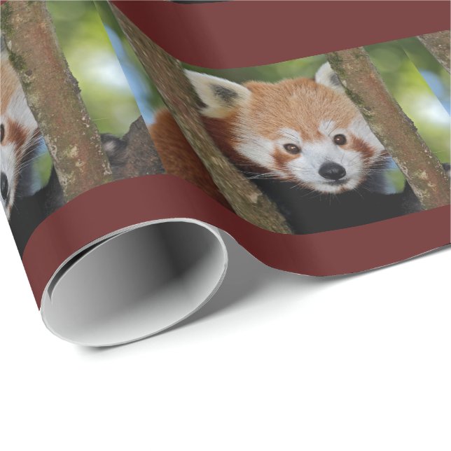 Papel de Embrulho Retrato de Panda (Ponta do rolo)