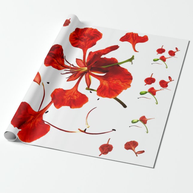 Papel de Embrulho Royal Poinciana (Desenrolado)