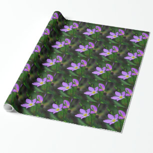 Papel de embrulho Sabatia de flores silvestres em