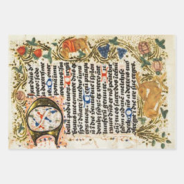 Papel de empacotamento em manuscrito iluminado