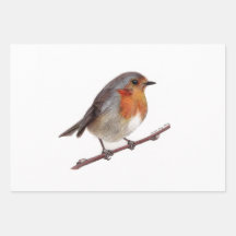 Papel de enrolamento Robin Bird (Erithacus Rubecul