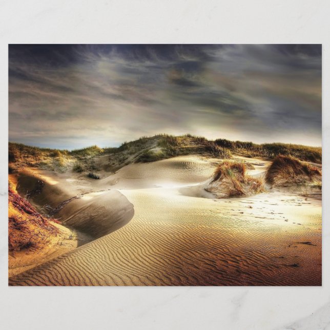 Papel de Escrapbook de Dunas do Mar do Norte (Frente)