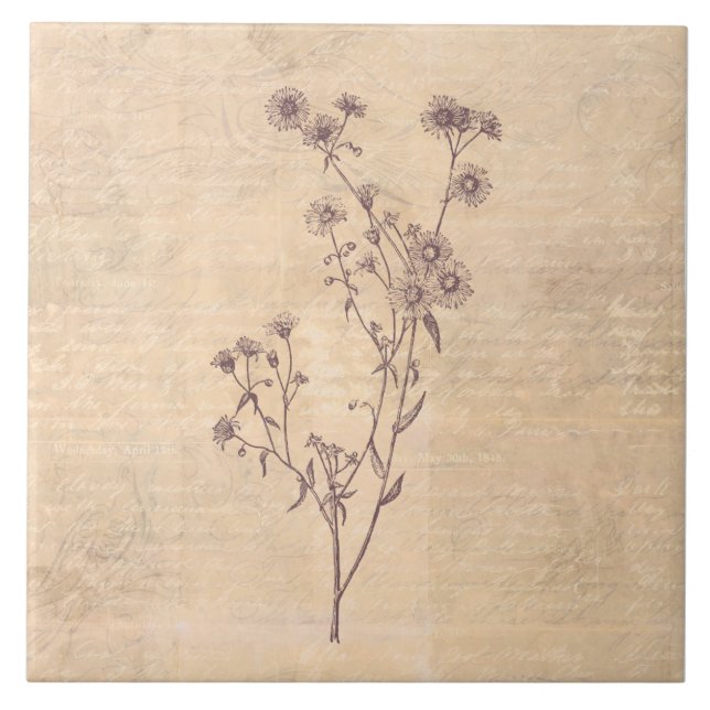 Papel de Escrita Antiquado de Flor Selvagem Selvag (Frente)