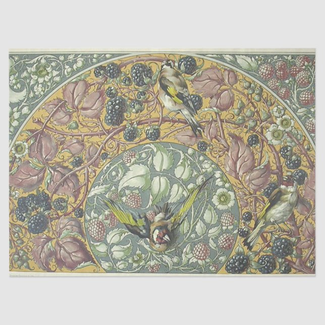 Papel de exclusão de aves e berry floral (Frente )