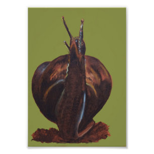 Papel de Fotografia Profissional de Desenho de Car