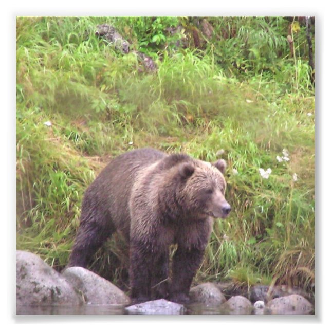 Papel de fotografia profissional do Kodak 6x6 (Sat (Frente)