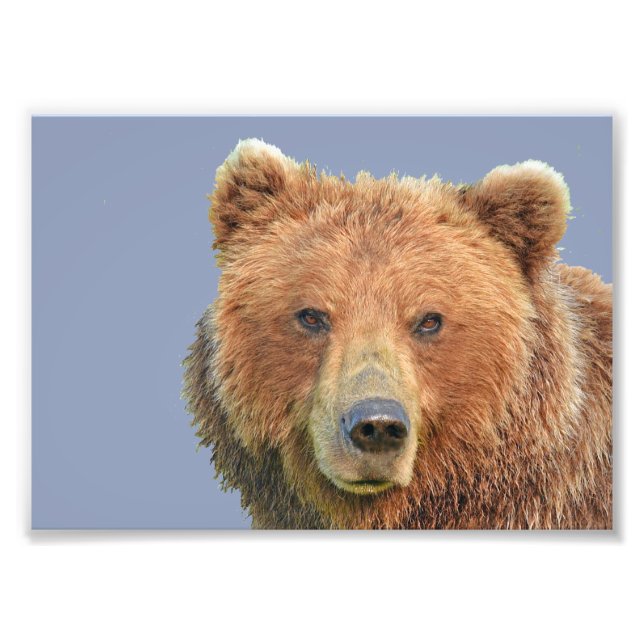 Papel de fotografia profissional do Kodak (Satin)  (Frente)