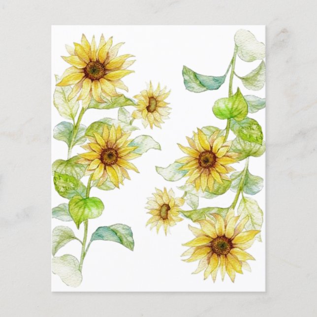 Papel de fundo para álbuns de flores solares (Frente)
