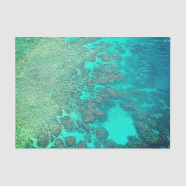 Papel de lenços de coral (Frente )