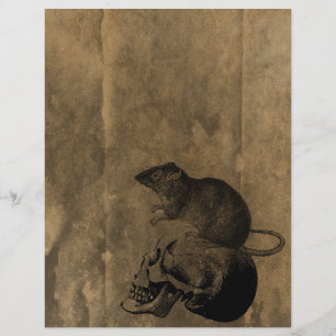 Papel de Livro Gótico Vitoriano de Rato e Crânio