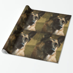 Papel de papel de embrulho do german shepherd
