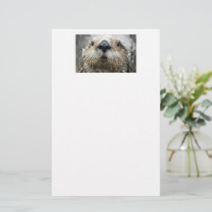 Papel de papelaria com foto do rosto da lontra mar