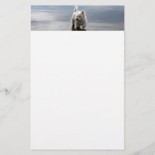 Papel de papelaria de reflexão sobre o Westie de p