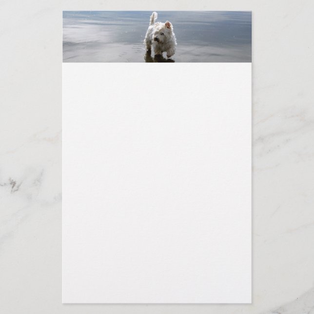 Papel de papelaria de reflexão sobre o Westie de p (Frente)