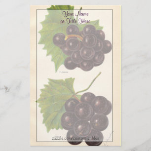 Papel de papelaria Vintage Graphics