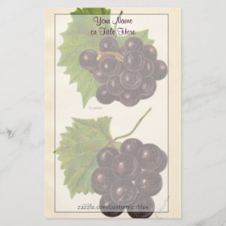 Papel de papelaria Vintage Graphics